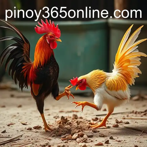 Unveiling the Dynamics of Online Sabong through the Lens of PINOY365